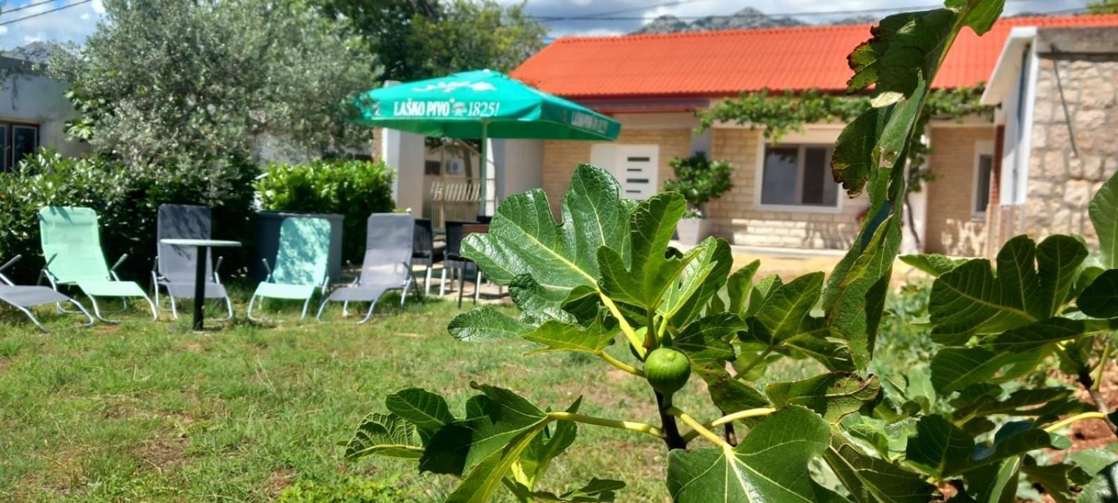 Holiday Home Zeljko,Marija & Jakov Starigrad Paklenica Eksteriør bilde